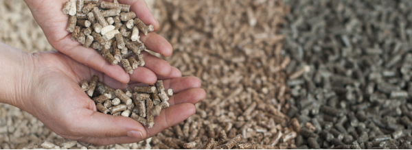 ПОДАРОК 3000 ТОНН ТВЕРДОГО БИОТОПЛИВА, УТВЕРЖДЕННОГО КЧС, ДЛЯ ГОСУДАРСТВЕННЫХ УЧРЕЖДЕНИЙ