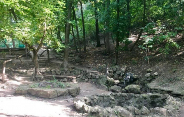 СУД НАКАЗАЛ МУЖЧИНУ ЗА НЕЗАКОННУЮ ВЫРУБКУ ДЕРЕВЬЕВ В МУНИЦИПАЛЬНОМ ПАРКЕ