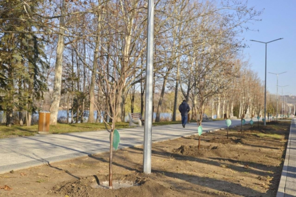 LANSAREA CAMPANIEI DE PLANTARE A ARBORILOR ÎN CHIȘINĂU