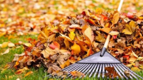 STARTUL CAMPANIEI DE SALUBRIZARE DE TOAMNA ÎN MUNICIPIUL CHIȘINĂU