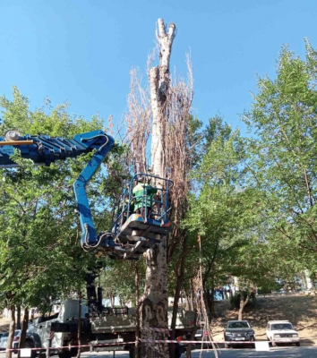 LUCRĂRILE PLANIFICATE, EXECUTATE DE Î.M "ASOCIAȚIA DE GOSPODĂRIRE A SPAȚIILOR VERZI"ÎN PERIOADA 27 IUNIE - 3 IULIE 2022