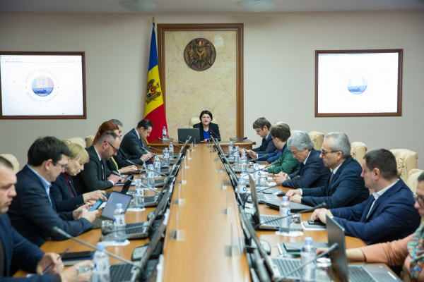 ZECE MII DE TONE DE PACURA VOR FI ELIBERATE DIN REZERVELE DE STAT