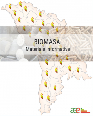 AEE INFORMEAZA DESPRE POTENȚIALUL CENTRALELOR TERMICE PE BIOMASA ȘI CAPACITĂȚILE DE PRODUCERE A BIOCOMBUSTIBILULUI SOLID