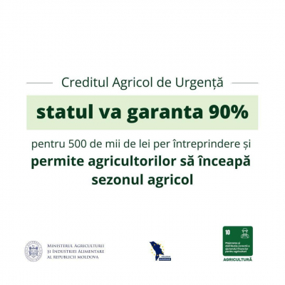 GUVERNUL A OFERIT O SOLUȚIE IMEDIATĂ PENTRU PRODUCĂTORII DE CEREALE