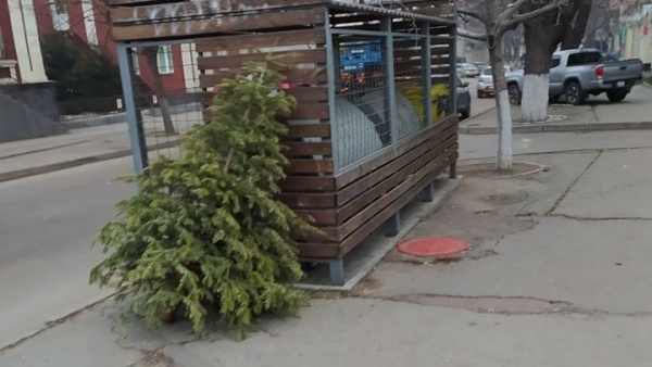 НОВОГОДНИЕ ЕЛКИ БУДУТ ПЕРЕРАБАТЫВАТЬСЯ