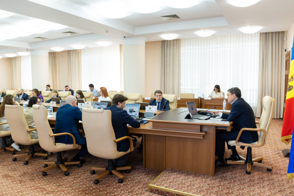 REFORMA SRL APROBATĂ DE GUVERN