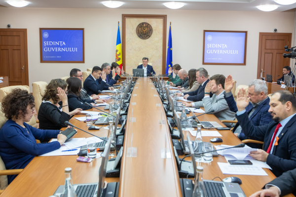 GUVERNUL SUSȚINE CREAREA CENTRULUI CULTURAL EUGEN DOGA