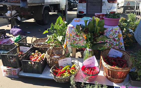 CONTINUAREA DESFĂȘURĂRII IARMAROCULUI CU PRODUSE AGRICOLE DE SEZON, INCLUSIV A STRUGURILOR ȘI ACCESORIILOR PENTRU PRODUCEREA VINULUI